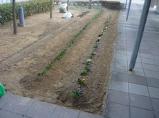 d2015.3.26 3.jpg
